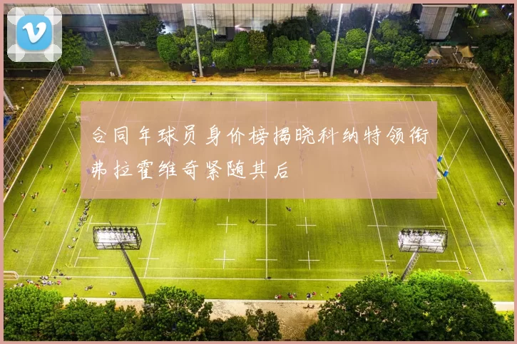 合同年球员身价榜揭晓科纳特领衔弗拉霍维奇紧随其后